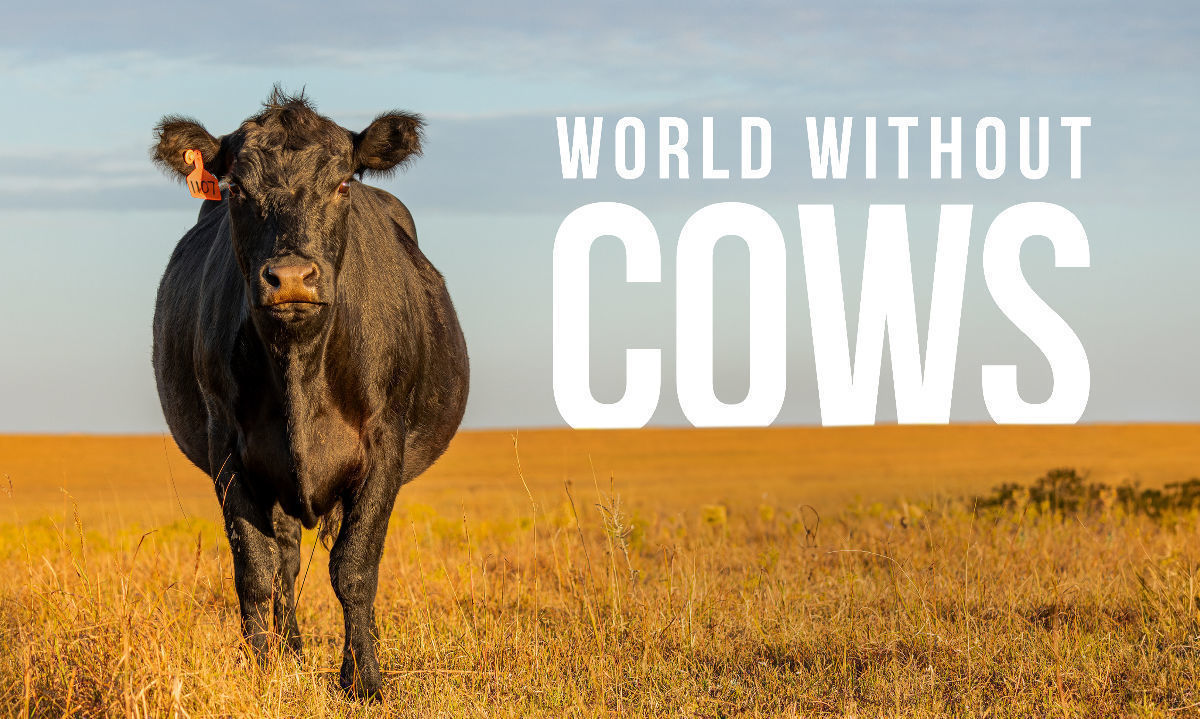 “World Without Cows” (“Un mundo sin vacas”) es un largometraje documental de 85 minutos, filmado en 40 locaciones alrededor del mundo durante tres años, que explora el impacto del ganado en las economías, los ecosistemas, las culturas y la nutrición humana. Crédito: Cedida.
