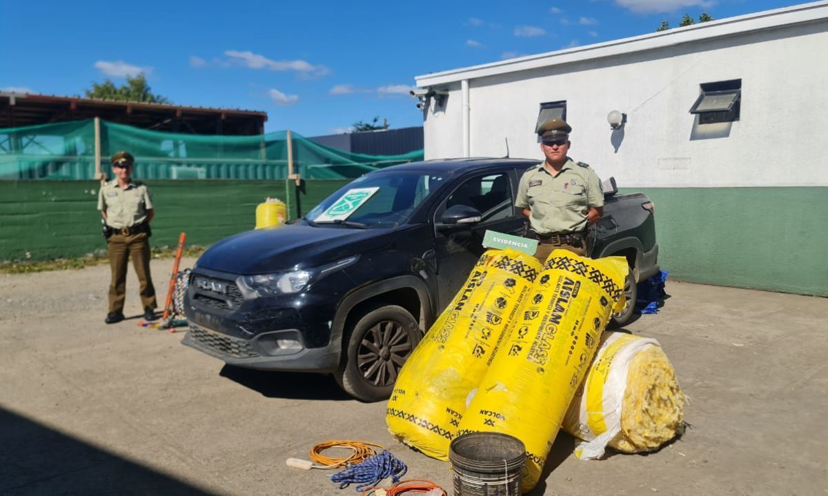 Carabineros detiene a dos hombres con amplio prontuario en vehículo robado en Osorno