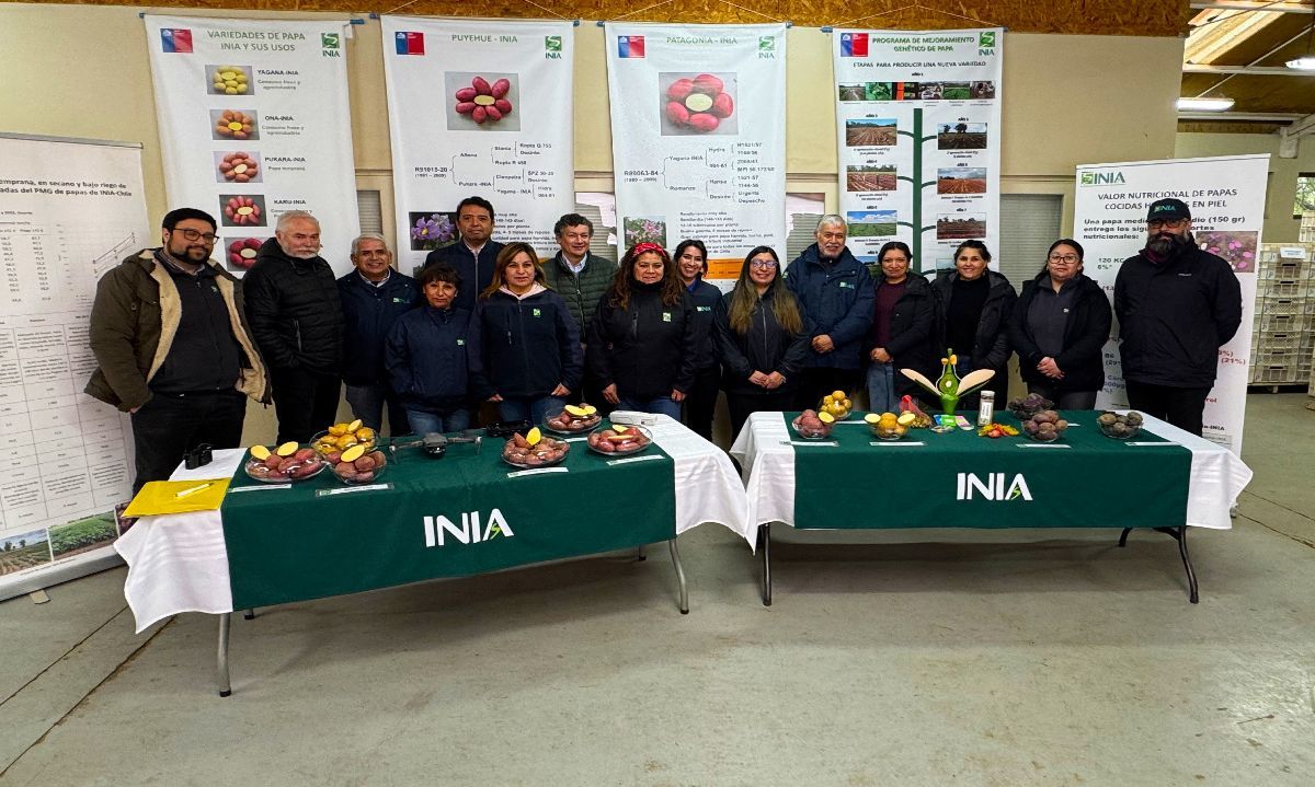 Carlos Furche, director nacional de INIA, recorriendo las instalaciones de INIA Remehue.