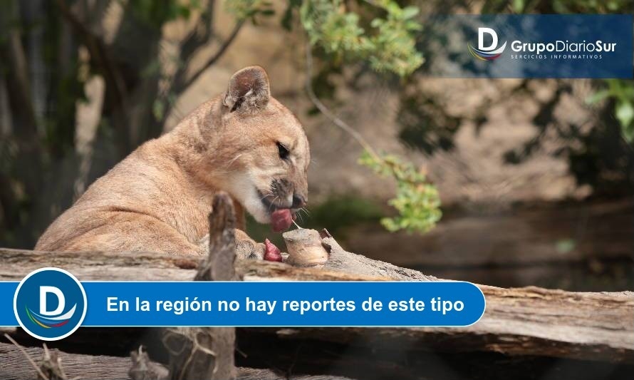 Fuente: SAG.