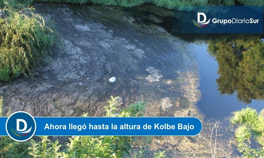 Suman y siguen los episodios de contaminación en el río Damas 