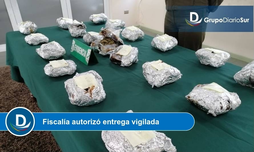 Más de 5 kilos de marihuana incautó Carabineros en control carretero