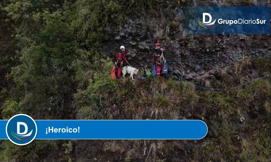 Bomberos nuevamente héroes tras rescatar perrito atrapado en cerro de Lago Ranco