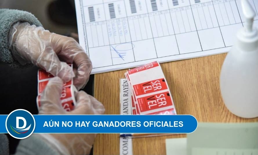 Primeros cómputos en Los Lagos: Harry Jurgensen y Julio Álvarez lideran votación para constituyentes