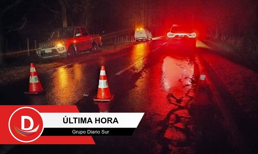 Vecina del sector sería la víctima fatal de atropello cerca de Ruta 215  