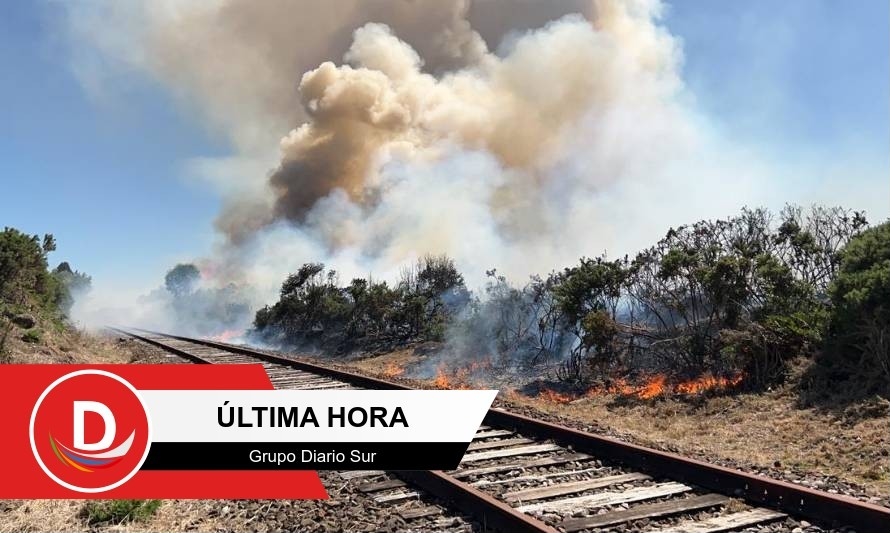 Bomberos combate incendio forestal en ruta a Alerce