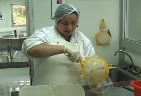 Se Aumenta el nivel en las medidas de seguridad, alto nivel de toxinas en el mar.