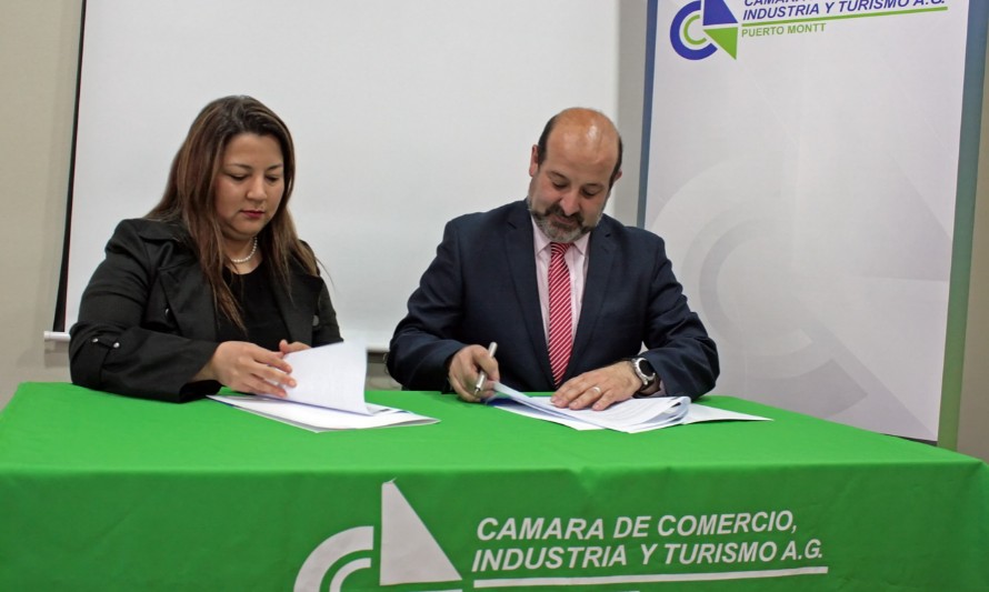 Cámara conforma mesa de trabajo para potenciar la igualdad de oportunidades para la mujer en el comercio y el turismo