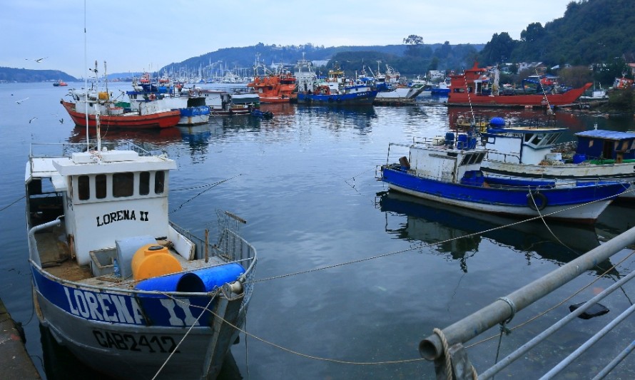 Anunciaron la creación de 220 puestos de trabajo para pescadores artesanales de Puerto Montt
